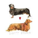 Bild von DEBONAIR DACHSHUNDS KEY RING