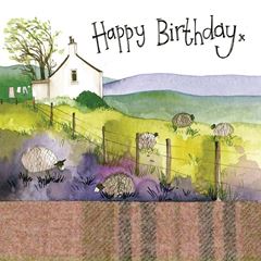 Image de FIELDS OF DREAMS BIRTHDAY CARD