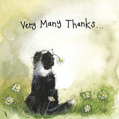 Image de SUNSHINE COLLIE THANK YOU FOIL CARD