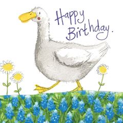Bild von DUCK AND DAISIES BIRTHDAY CARD