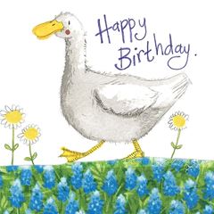 Bild von DUCK AND DAISIES BIRTHDAY CARD