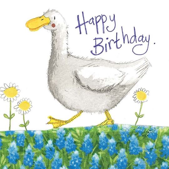 Bild von DUCK AND DAISIES BIRTHDAY CARD