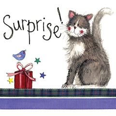 Picture of SURPRISE BIRTHDAY CARD