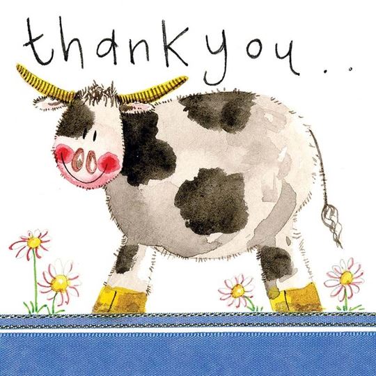 Image sur COW THANK YOU CARD