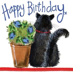 Bild von PUSS & POT BIRTHDAY CARD