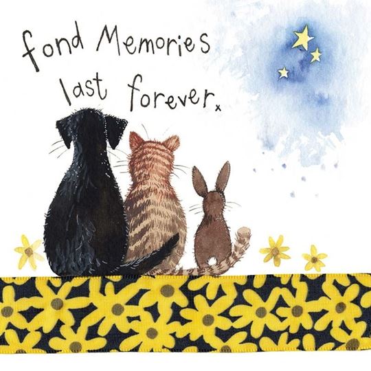 Picture of MEMORIES PET SYMPATHY CARD