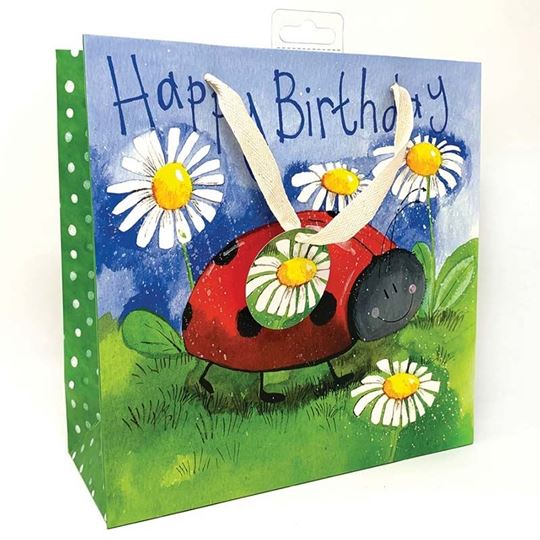 Picture of LITTLE LADYBIRD