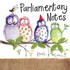 Image de OWL PARTY MINI MAGNETIC NOTEPAD