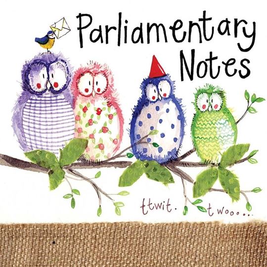 Image sur OWL PARTY MINI MAGNETIC NOTEPAD