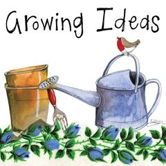 Picture of GROWING IDEAS MINI MAGNETIC NOTEPAD