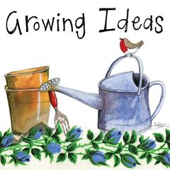 Immagine di GROWING IDEAS MINI MAGNETIC NOTEPAD