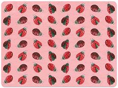 Picture of LADYBIRDS PLACEMAT