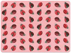 Bild von LADYBIRDS PLACEMAT