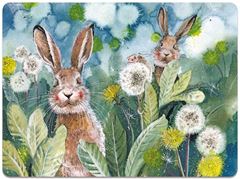 Bild von LITTLE RABBITS