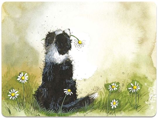 Image sur COLLIE AND FLOWERS