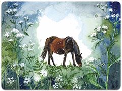 Bild von HORSE AND COW PARSLEY