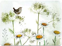 Immagine di WREN AND COW PARSLEY