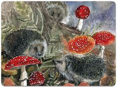 Picture of HEDGEHOGS