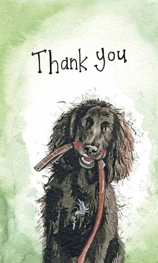 Bild von THANK YOU DOG