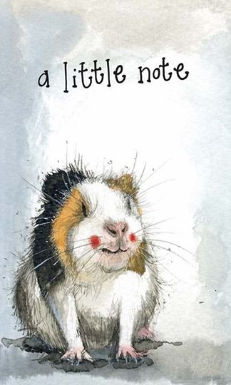 Image sur A LITTLE NOTE GUINEA PIG