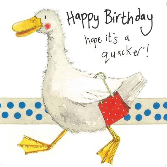 Bild von QUACKER BIRTHDAY CARD