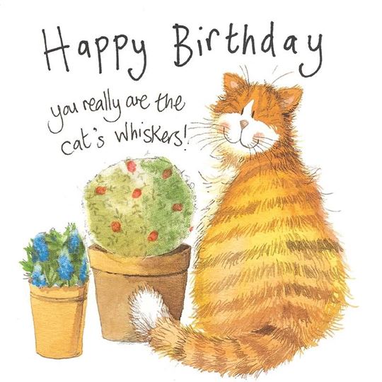 Bild von WHISKERS BIRTHDAY CARD