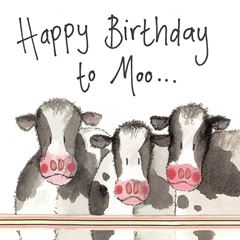 Picture of COWS BIRTHDAY CARD
