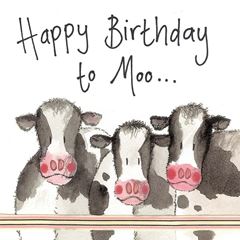 Bild von COWS BIRTHDAY CARD