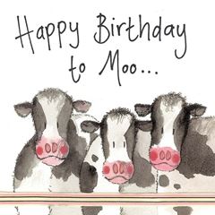 Bild von COWS BIRTHDAY CARD