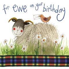 Picture of BIRTHDAY SHEEP CARD