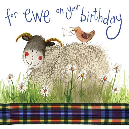 Picture of BIRTHDAY SHEEP CARD