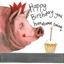 Picture of HANDSOME SWINE BIRTHDAY CARD