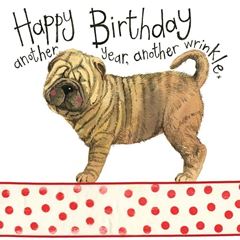 Picture of WRINKLES BIRTHDAY CARD