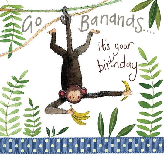 Bild von BANANAS BIRTHDAY CARD