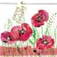 Bild von POPPIES BIRTHDAY CARD