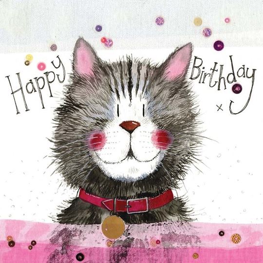 Picture of CAT & COLLAR BIRTHDAY CARD