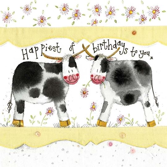 Image sur COWS BIRTHDAY CARD