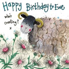 Immagine di COUNTING SHEEP BIRTHDAY CARD