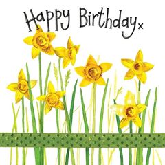 Picture of DAFFODILS BIRTHDAY CARD