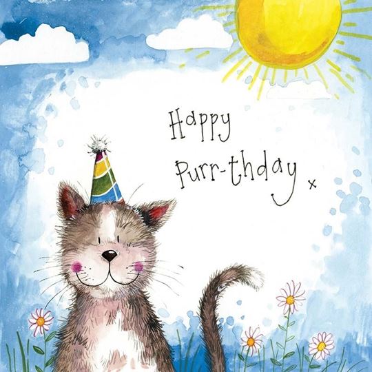 Image sur SUNSHINE CAT FOIL BIRTHDAY CARD