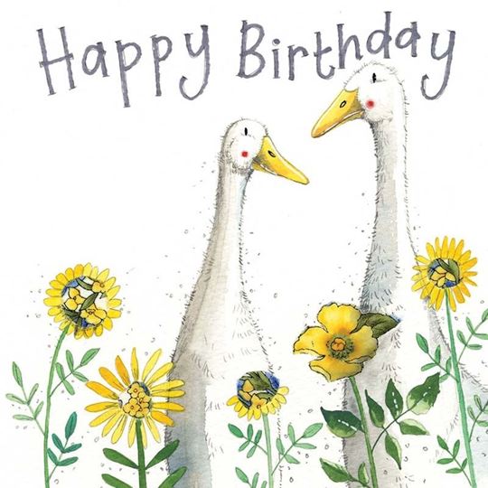 Picture of BIRTHDAY DUCKS SPARKLE CARD