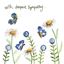 Bild von SYMPATHY DAISIES SPARKLE CARD