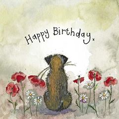 Picture of SUNSHINE BORDER BIRTHDAY FOIL CARD