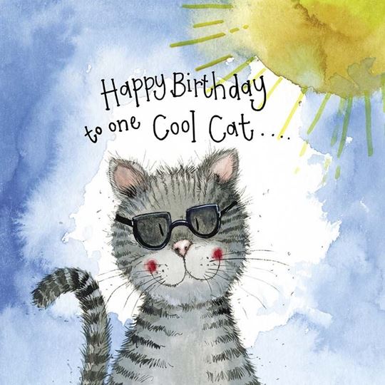 Bild von SUNSHINE COOL CAT BIRTHDAY FOIL CARD