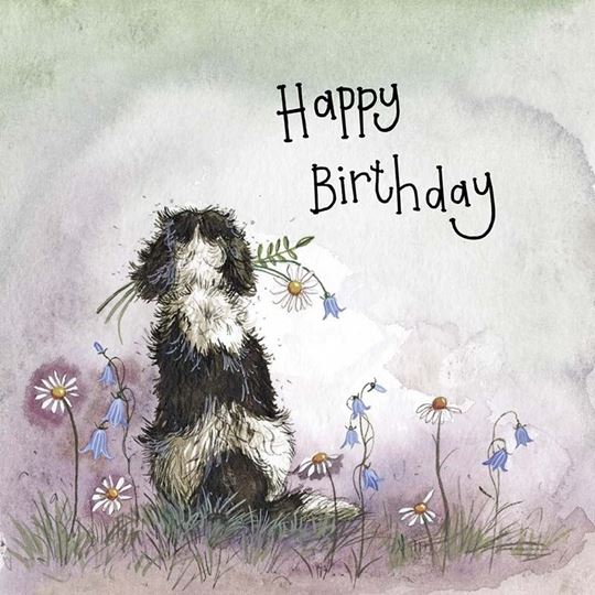 Immagine di SUNSHINE SPANIEL BIRTHDAY FOIL CARD