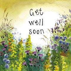 Picture of FLOWER MEADOW GET WELL SOON CARD
