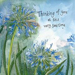 Bild von AGAPANTHUS THINKING OF YOU CARD