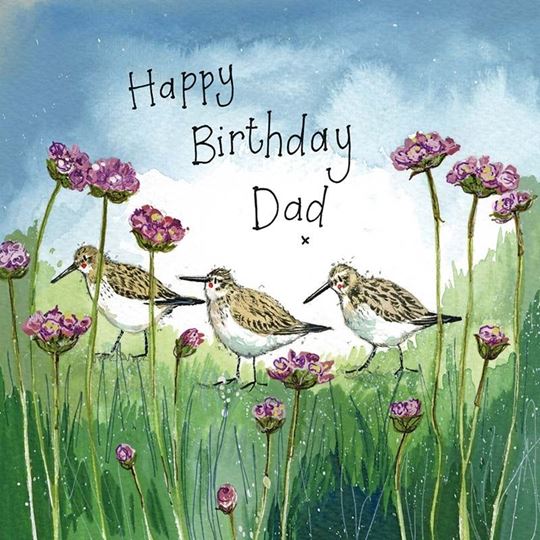 Picture of DUNLIN & THRIFT DAD CARD