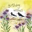 Bild von OYSTERCATCHER & SEA ASTER BIRTHDAY CARD