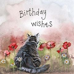 Picture of CAT & POPPIES BIRTHDAY CARD